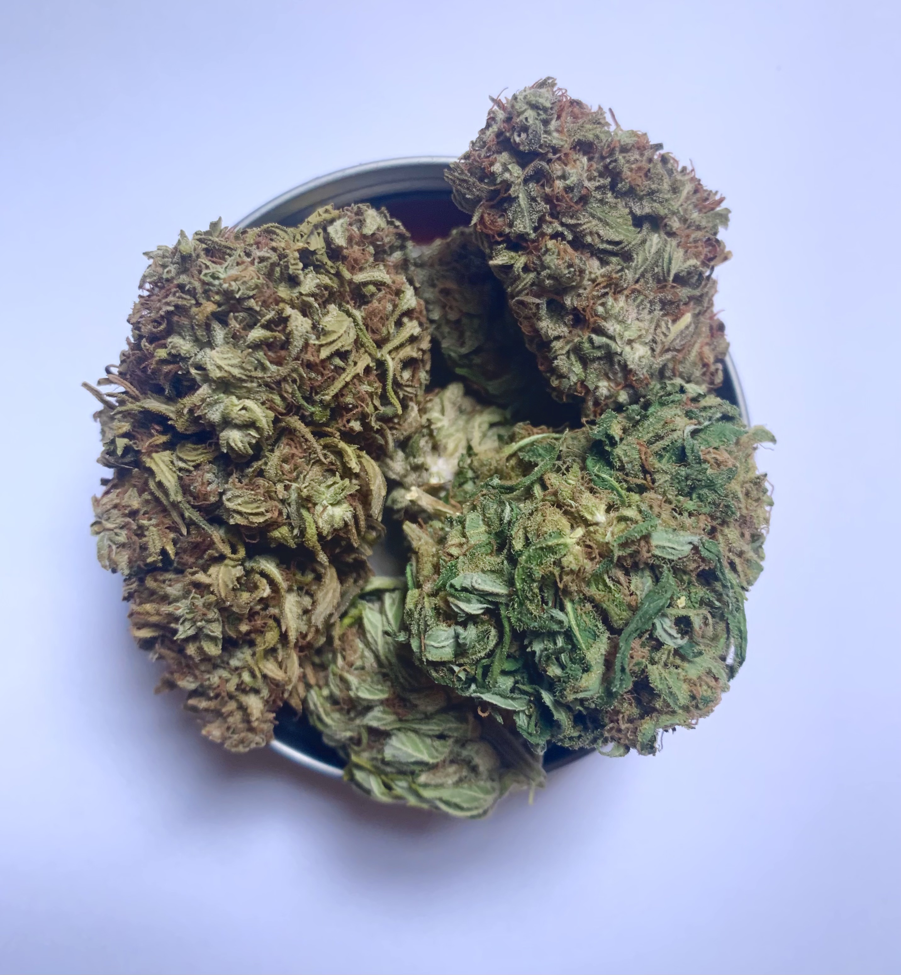 Cbd hemp strain, Elektra, known for its piney, sweet aromas.
